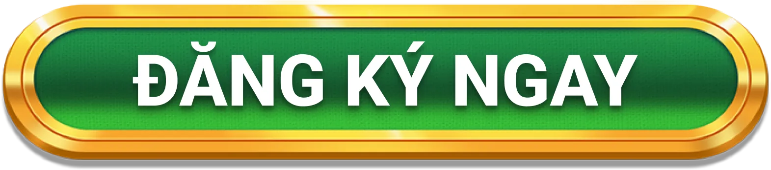 Đăng ký ngay